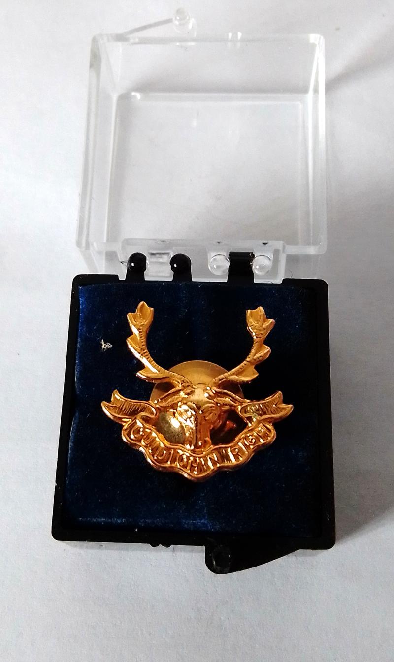 Seaforth Highlanders Pin